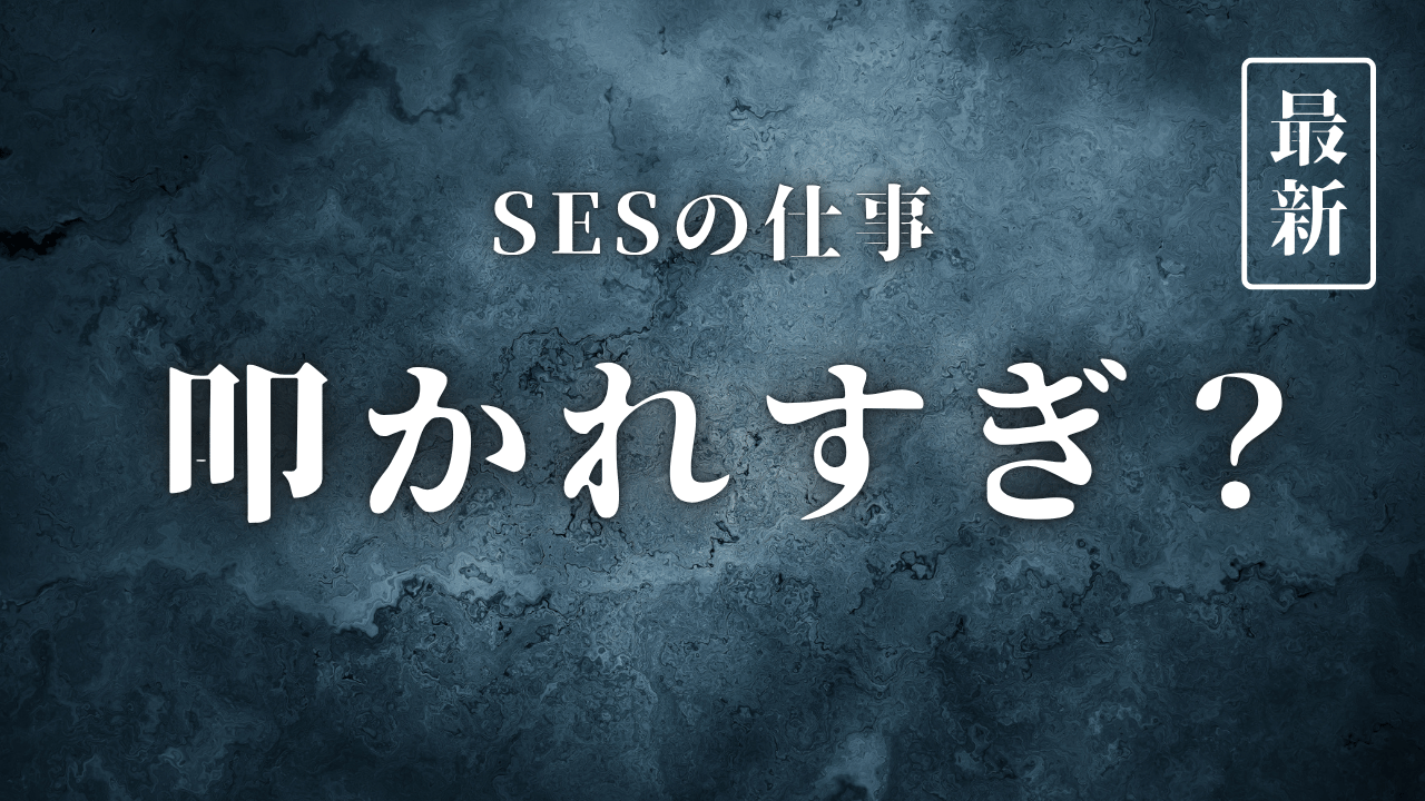 【2025最新】SESは叩かれすぎ？真実と働き方改革の実態